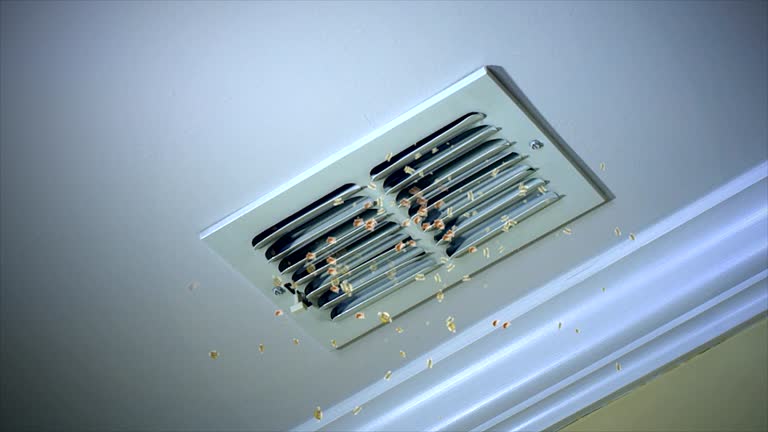 Best Residential Air Duct Cleaning  in Pquemine, LA