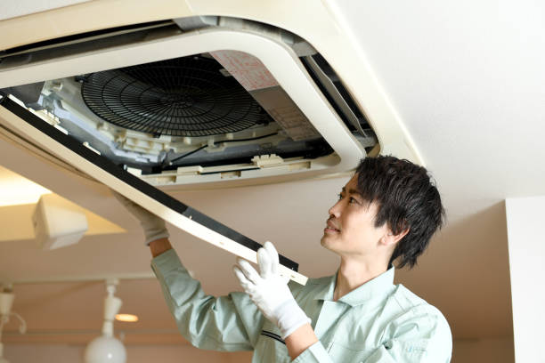 Best Professional Duct Cleaning Services  in Pquemine, LA