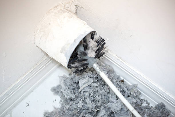 Best Residential Air Duct Cleaning  in Pquemine, LA